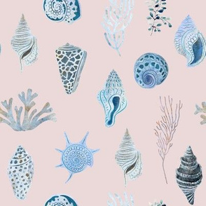 Sea Shells and Coral // Soft Blush