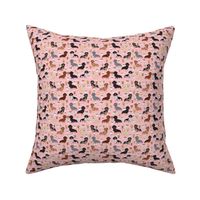 TINY - dachshund coffee fabric, coffees and lattes fabric - pink