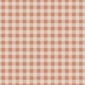 Gingham Plaid Check _Light Terracotta