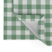 Gingham Plaid Check _Meadow