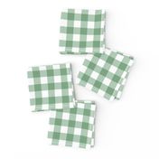 Gingham Plaid Check _Meadow