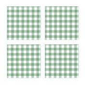 Gingham Plaid Check _Meadow