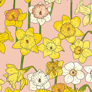 Large Scale Daffodils on Pink