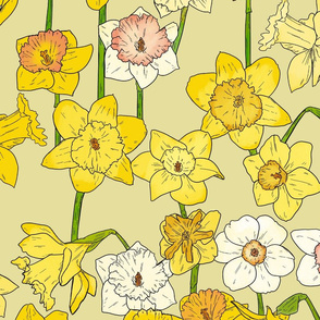 Large Scale Daffodils on Yellow