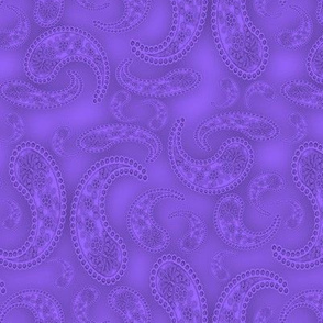 Paisley Lace, Purple
