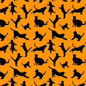 kitties warm-up black on orange 8x8