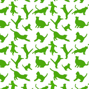 kitties warm-up green 8x8