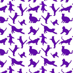 kitties warm-up violet  8x8
