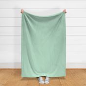 Solid Mint - Pastel Mint