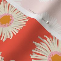 Pollinator Garden Collection-Daisies