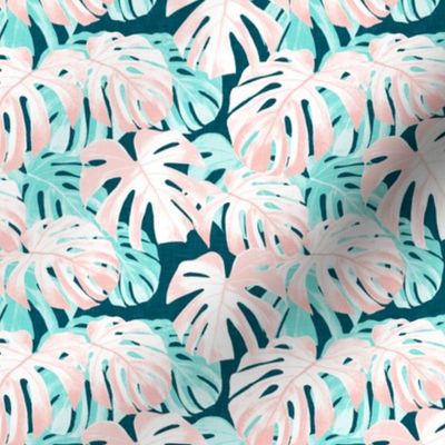 (small scale) Monstera deliciosa  - Swiss cheese plant - pink and teal - LAD19