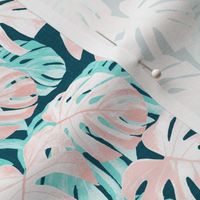 (small scale) Monstera deliciosa  - Swiss cheese plant - pink and teal - LAD19