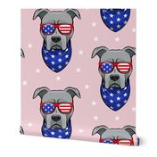 (micro scale) patriotic Pit Bull on pink C18BS