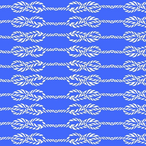 Blue & White Ropes 