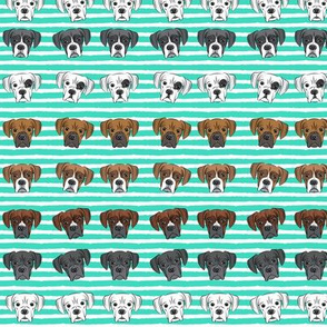 (3/4" scale) all the boxers rows - teal stripes C18BS