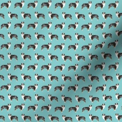 TINY -- australian shepherds dog blue aussie dog cute dogs dog fabric australian shepherds