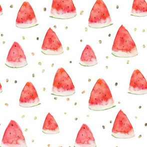 Watermelon Pieces // Gold Watercolor Splashes