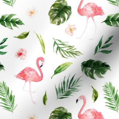 Tropical Flamingo // White