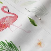 Tropical Flamingo // White