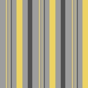 Yellow and Gray Vertical Stripes