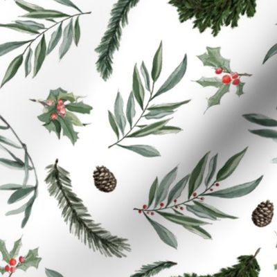 Mistletoe and Eucalyptus // White