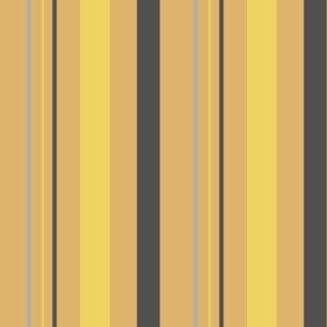 Mustard Yellow and Charcoal Gray and Gray  Stripes