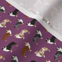 australian shepherd (Tiny) dogs cute pet dog aussie dogs red merle blue merle best dog fabric cute dogs best aussie dog fabrics sweet pet dog fabric