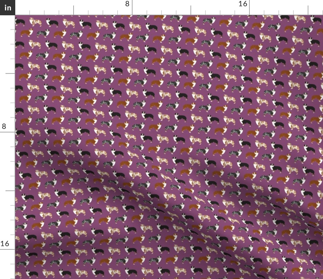 australian shepherd (Tiny) dogs cute pet dog aussie dogs red merle blue merle best dog fabric cute dogs best aussie dog fabrics sweet pet dog fabric