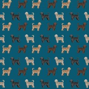 doodles coats (tiny) 4 different coat colors dog breed fabric 