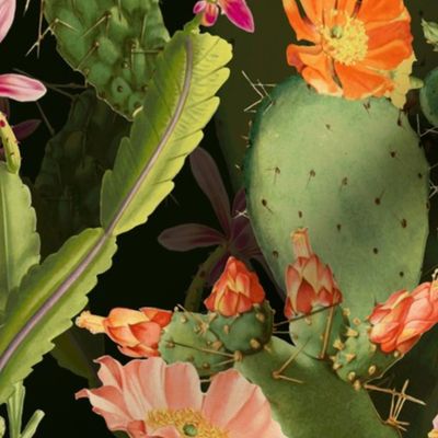 BLOOMING CACTI - 3D EFFECT