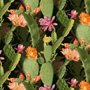 BLOOMING CACTI - 3D EFFECT