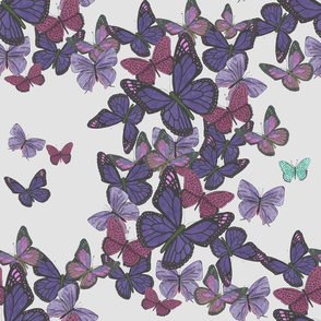 Cluster of purple butterflies