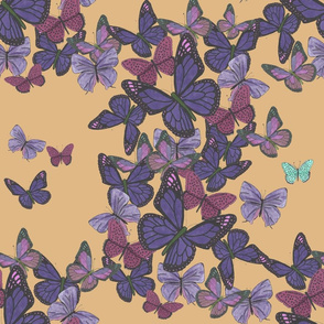 Cluster of purple butterflies on yellow