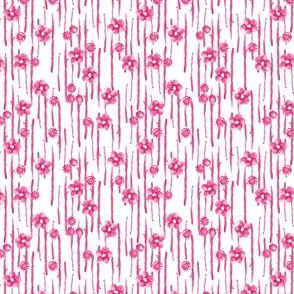 Pink lines and flowers