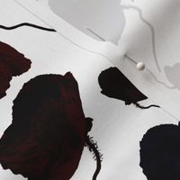 Velvet Poppies - on white