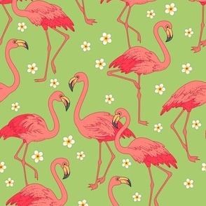 Flamingo green