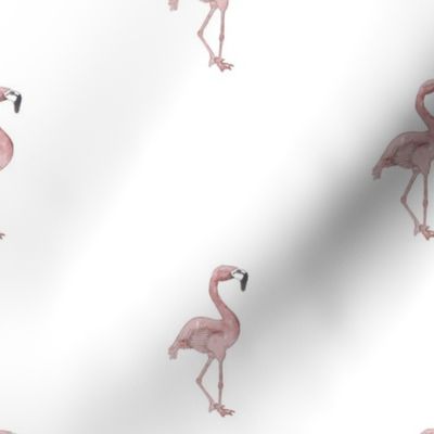 Watercolor-Flamingo-Spoonflower