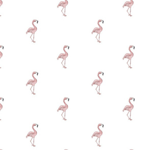 Watercolor-Flamingo-Spoonflower