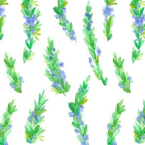 herb flowering rosemary fabric