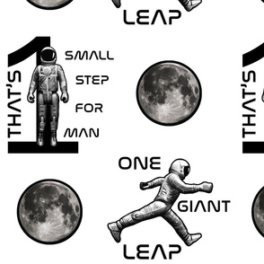 One Small Step- One Giant Leap