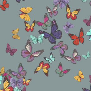 Multicolored butterflies cleand and final