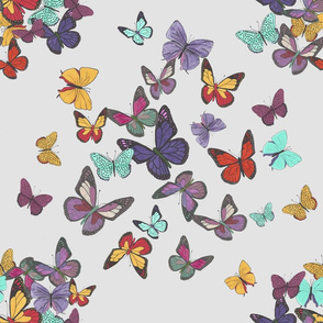Multicolored butterflies cleaned _ final on sliver