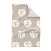 Ivory Sand Dollars on Linen