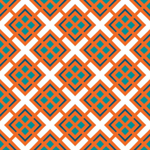 The Aqua and the Orange: Kind of Argyle #2 - SMALL 