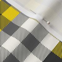 Yellow, Gray & Black in Check