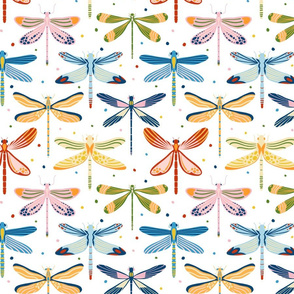 Colourful dragonflies