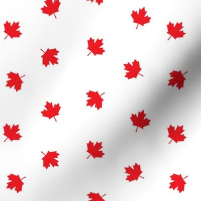 Maple leaves -  LAD19