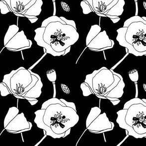 Poppies Drawing, White on Black