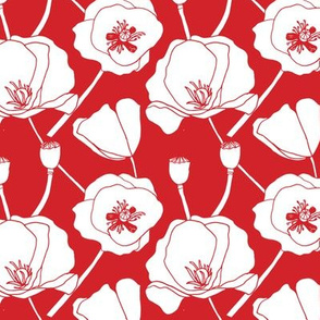 Poppies Drawing, White on Red