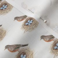 Mini print Robin Nest